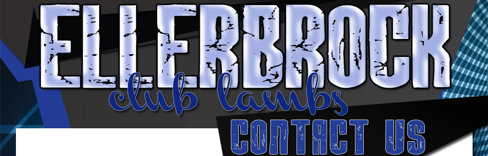 Contact Us